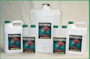 The Microbial Family